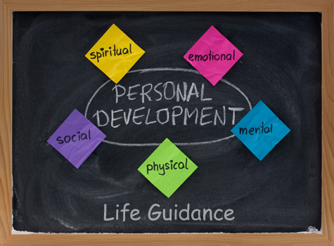 Life Guidance Program